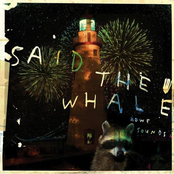 Curse Of The Currents by Said The Whale