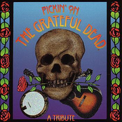 Grateful Dead Tribute: Pickin' On The Grateful Dead - A Tribute