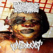 Gangrene Discharge / Vomitologyst