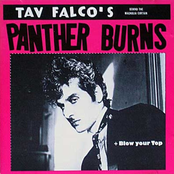 Tav Falco's Panther Burns: Behind The Magnolia Curtain / Blow Your Top