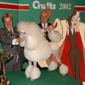 TigerBeat6 Comp Meow012 Disk 2