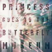 Princess Goes to the Butterfly Museum: Princess Goes To The Butterfly Museum