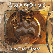 Swandive: Intuition