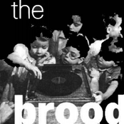 Size Matters (Disc 2)