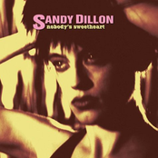 Feel The Way I Do by Sandy Dillon