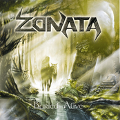 The Last Step by Zonata