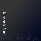 Into the Night