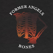 Bones