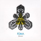 Papillon by Foma
