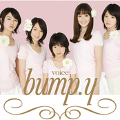 Voice by Bump.y