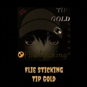 Flie Sticking (Special Version)