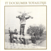 it dockumer lokaeltsje