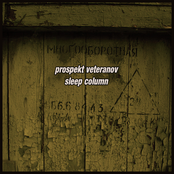 Prospekt Veteranov / Sleep Column