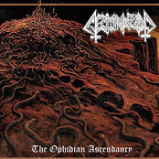 The Ophidian Ascendancy