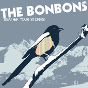 Weather Your Storms