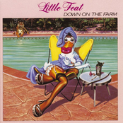 Perfect Imperfection by Little Feat