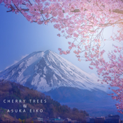 Cherry Trees 桜
