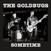 the goldbugs