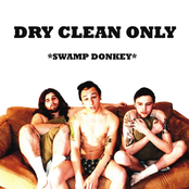 Dry Clean Only: Swamp Donkey