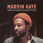 love marvin: the greatest love songs of marvin gaye