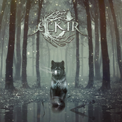 Elkir