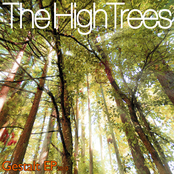 the high trees