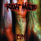 Veins