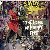 The Home Of Happy Feet