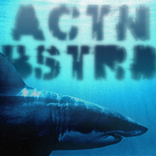 The Shark