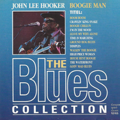 Apologize by John Lee Hooker