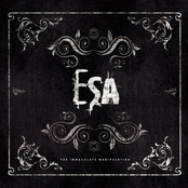 The Immaculate Manipulation - Bonus Remixes