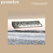 Smocio, Hustlo, Dwyn o Tesco (Remix Pys Melyn)