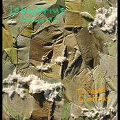 Lobastrius Nonformal