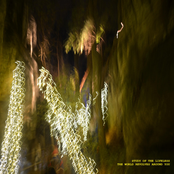 The World Revolves Around You