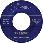 No Answer / No Answer