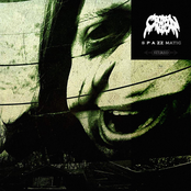 Crown Vic: Spazzmatic