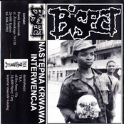 Następna Krwawa Interwencja