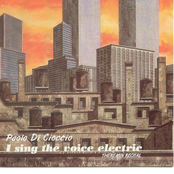 I Sing The Voice Electric, Theremin Recital