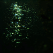 From Heaven, from Nowhere - EP