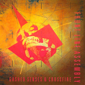 Gashed Senses & Crossfire