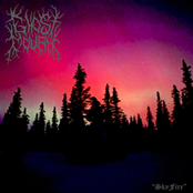 Skyfire (Demo)