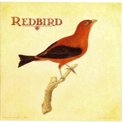 Redbird (Kris Delmhorst, Greg Brown & Peter Mulvey)