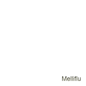 Melliflu