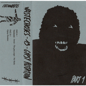 VASTECHOSES - 13 - GYPSY ROTATION - PART 1