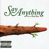 Total Revenge by Say Anything