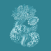 What Happens at Night