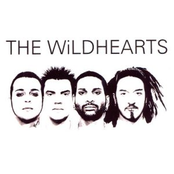 She's All That by The Wildhearts
