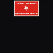 Kolektivisma Teorija