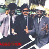 Maggotron