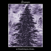 As if Wandering in a Dream...